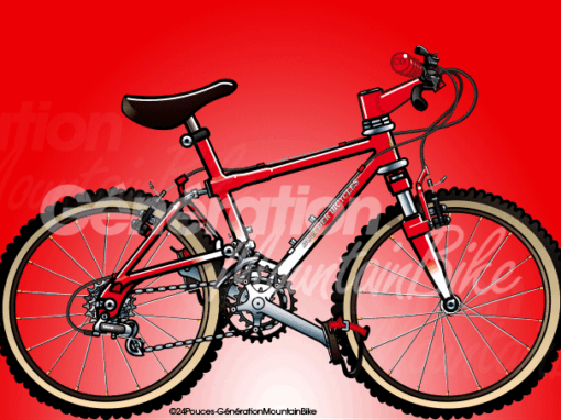 1991 Boulder Bicycles Gazelle