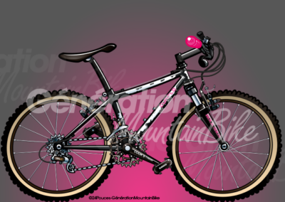 1990 – Curtlo Mountaineer