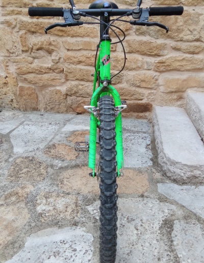 Un nom de serpent à sonnette et un cadre acier Full True Temper, le Diamond Back Axis est un VTT redoutable