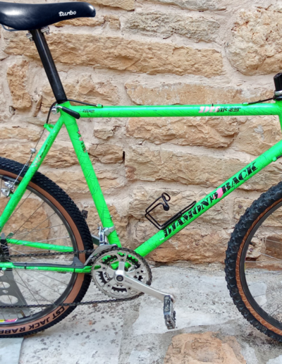 Un nom de serpent à sonnette et un cadre acier Full True Temper, le Diamond Back Axis est un VTT redoutable