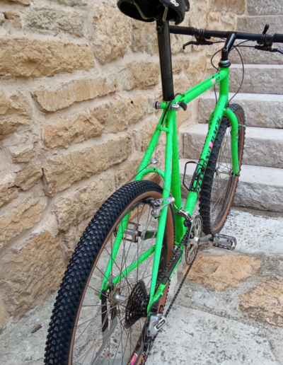 Un nom de serpent à sonnette et un cadre acier Full True Temper, le Diamond Back Axis est un VTT redoutable
